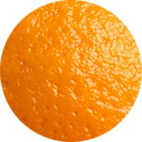 fleischgewürz orangenschale