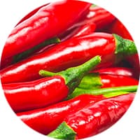 mexikanische gewürze rote chilis